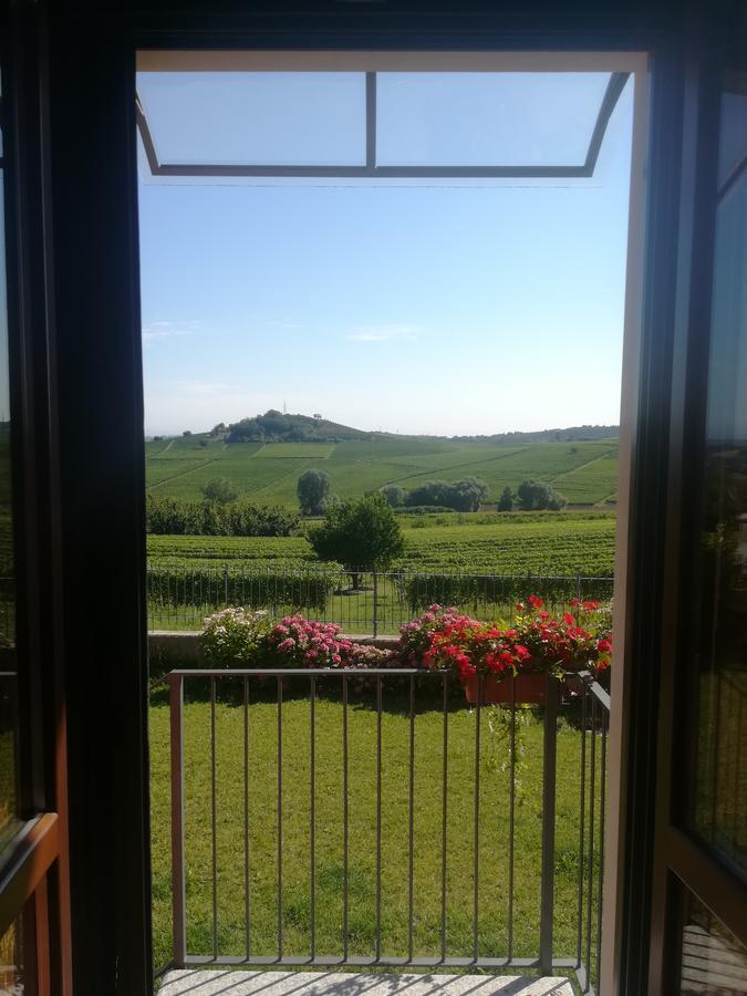 Villa Vecchio Castagnito Kültér fotó